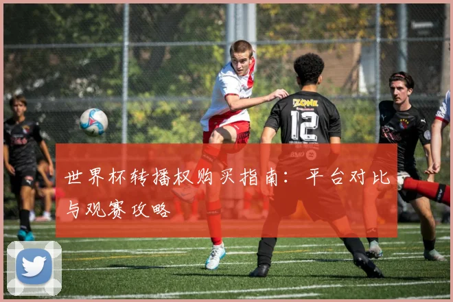 世界杯转播权购买指南:平台对比与观赛攻略